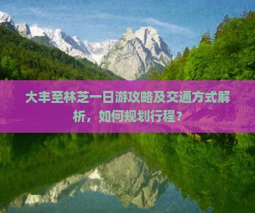 大丰至林芝一日游攻略及交通方式解析，如何规划行程？