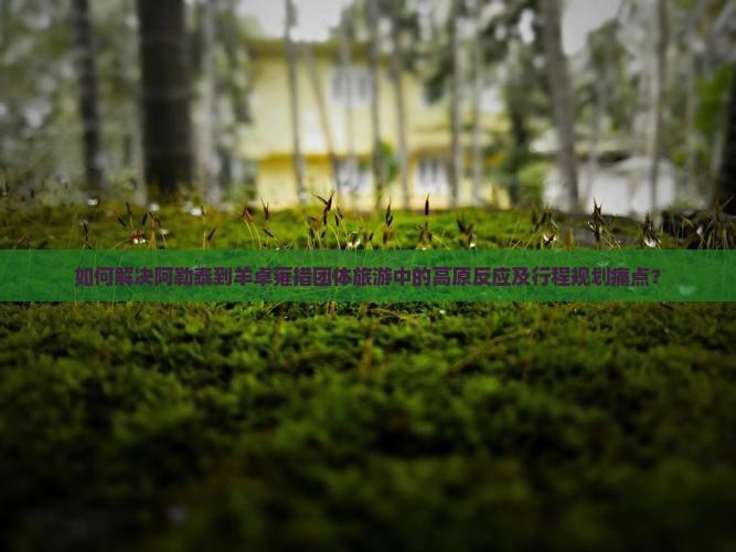 如何解决阿勒泰到羊卓雍措团体旅游中的高原反应及行程规划痛点？