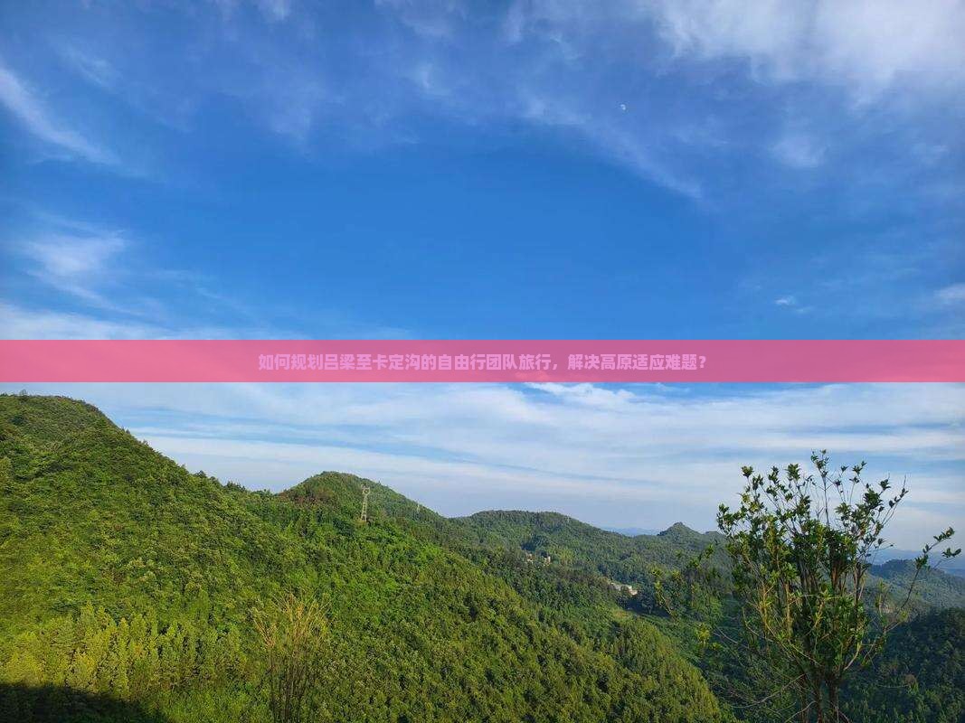 如何规划吕梁至卡定沟的自由行团队旅行，解决高原适应难题？