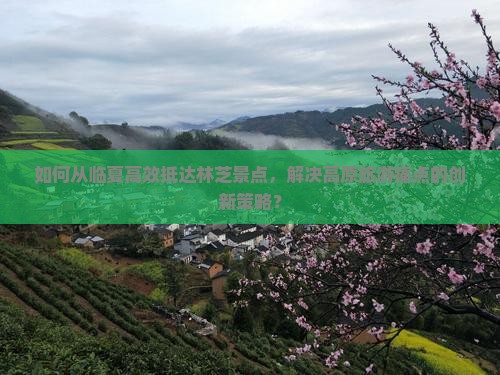如何从临夏高效抵达林芝景点，解决高原旅游痛点的创新策略？