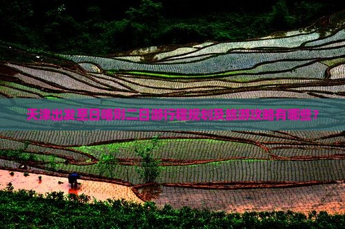 天津出发至日喀则二日游行程规划及旅游攻略有哪些？