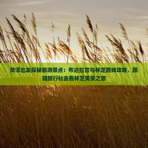 菏泽出发探秘旅游景点：布达拉宫与林芝路线攻略，跟随旅行社去看林芝美景之旅