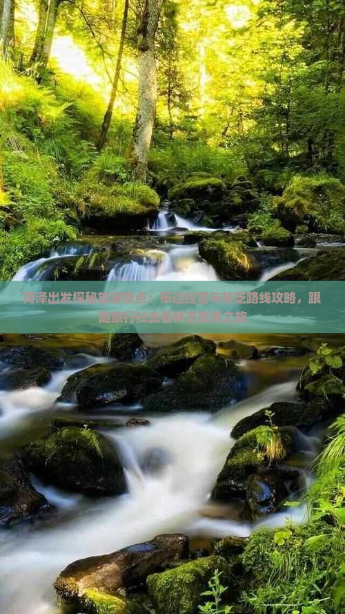 菏泽出发探秘旅游景点：布达拉宫与林芝路线攻略，跟随旅行社去看林芝美景之旅