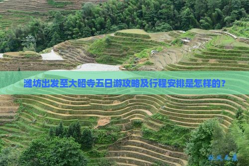 潍坊出发至大昭寺五日游攻略及行程安排是怎样的？