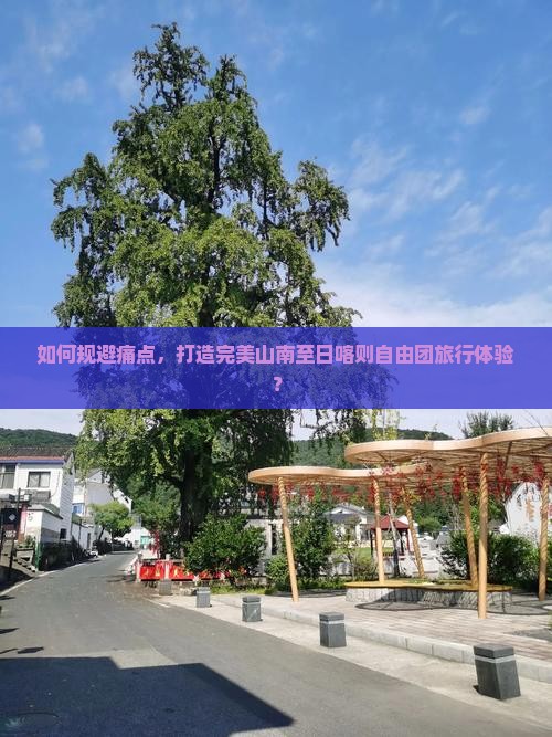 如何规避痛点，打造完美山南至日喀则自由团旅行体验？