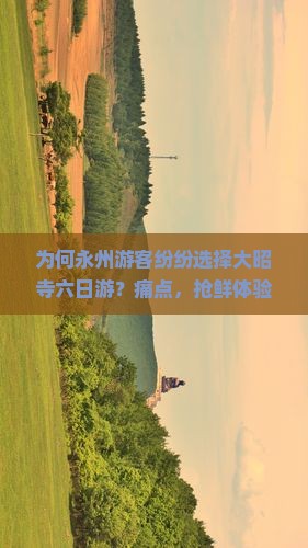 为何永州游客纷纷选择大昭寺六日游？痛点，抢鲜体验新潮流之旅！
