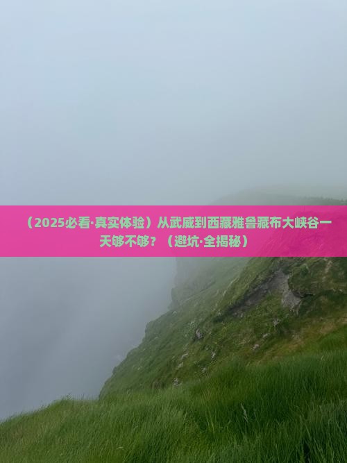 武威去西藏雅鲁藏布大峡谷一日