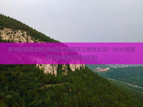 泰州到西藏鲁朗小镇四日游