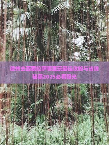 德州去西藏拉萨哪里玩