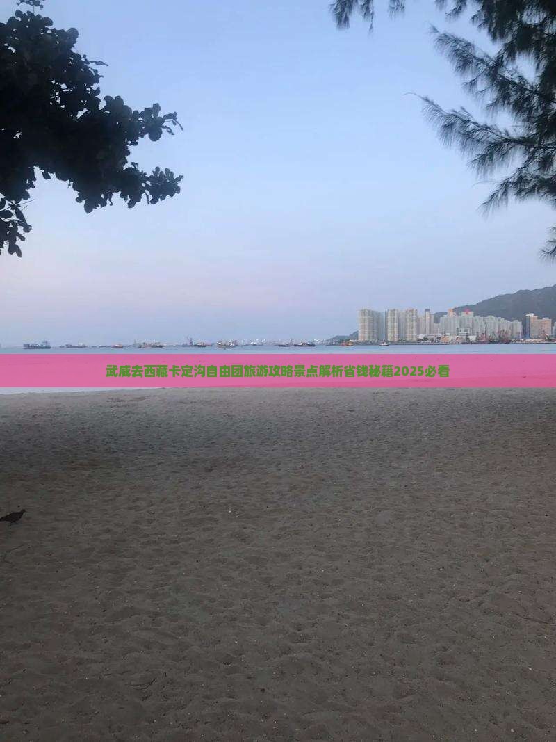 武威去西藏卡定沟自由团