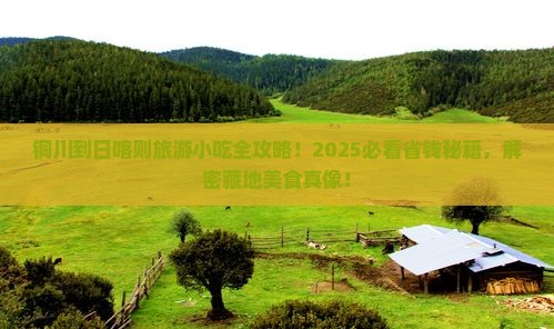 铜川到西藏日喀则旅游小吃