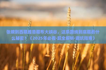 张掖去西藏雅鲁藏布大峡谷必去地