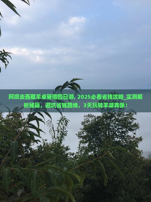 阿坝去西藏羊卓雍措四日游