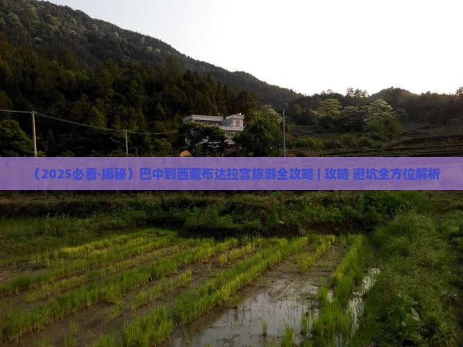 巴中去西藏布达拉宫景点