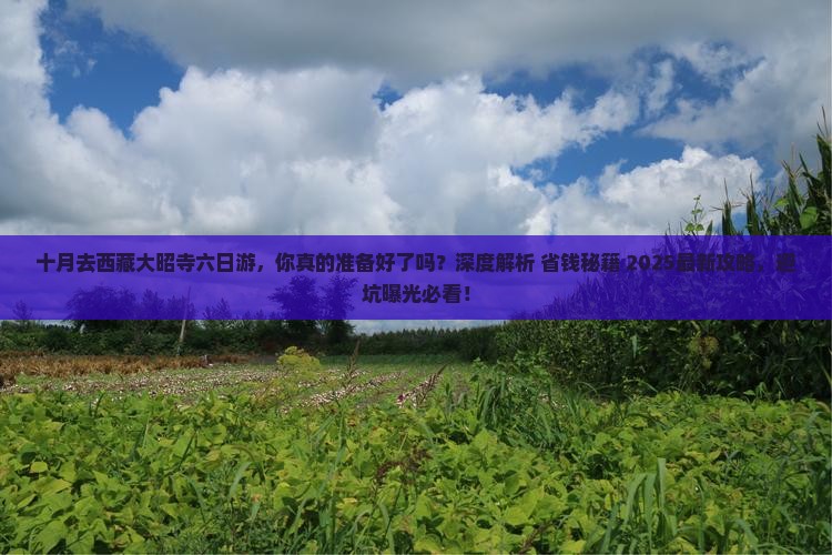 十月去西藏大昭寺六日游