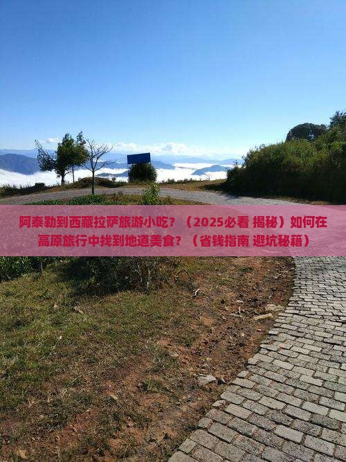 阿泰勒到西藏拉萨旅游小吃