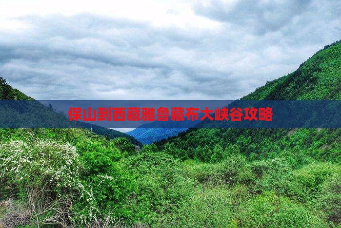 保山到西藏雅鲁藏布大峡谷攻略