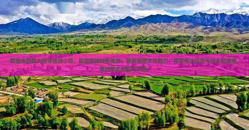那曲去西藏大昭寺旅游小吃