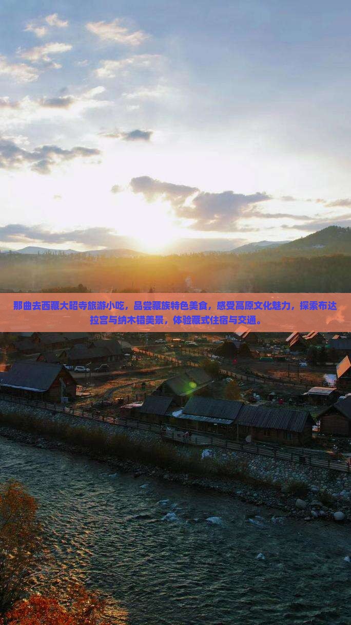 那曲去西藏大昭寺旅游小吃