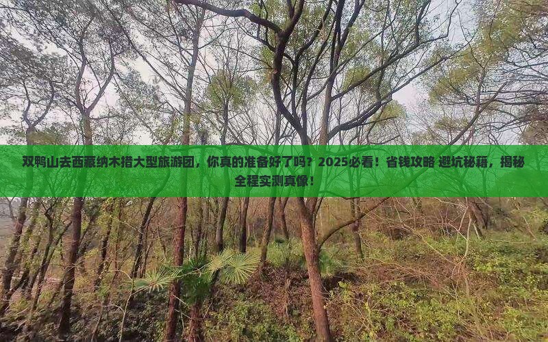 双鸭山去西藏纳木措大型旅游团
