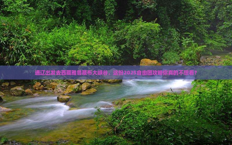 通辽去西藏雅鲁藏布大峡谷自由团