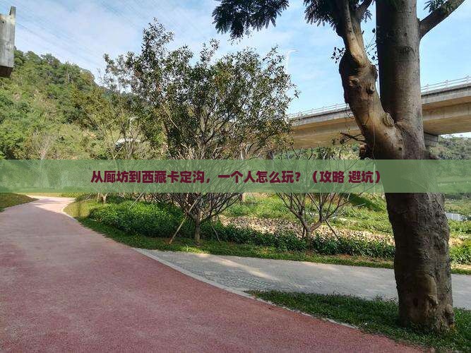 廊坊到西藏卡定沟个人游