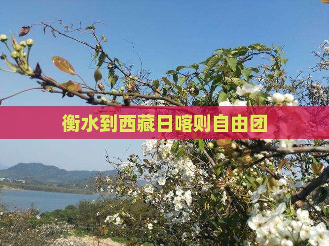 衡水到西藏日喀则自由团
