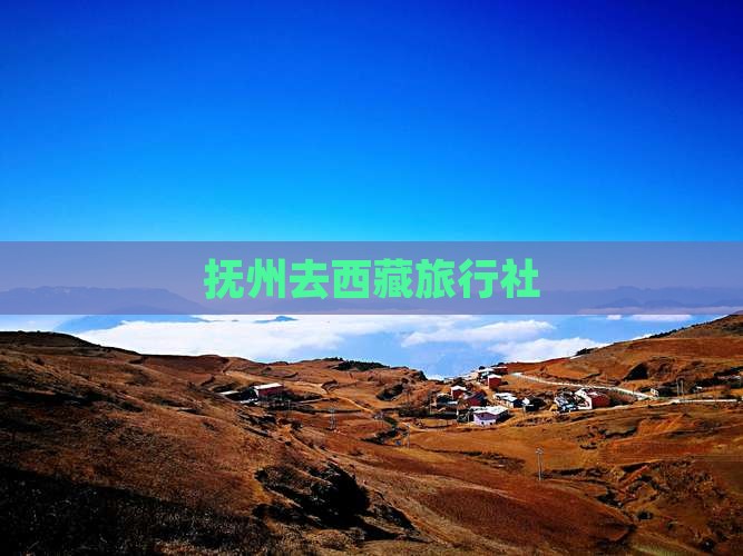 抚州去西藏旅行社