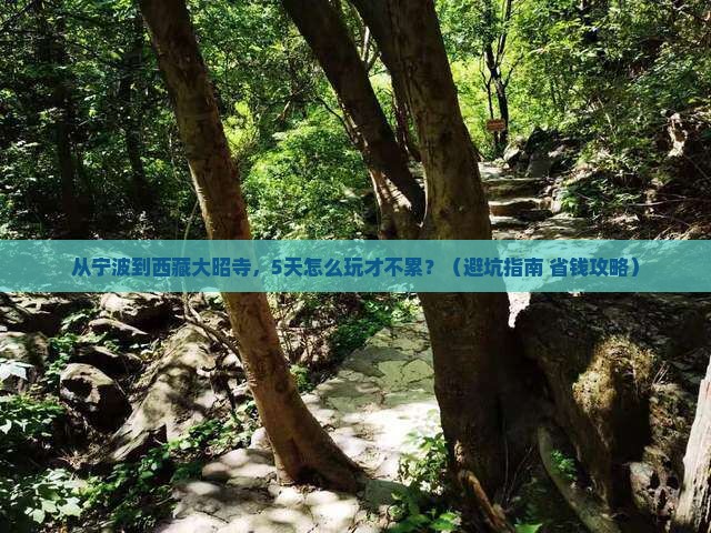 宁波到西藏大昭寺哪里玩