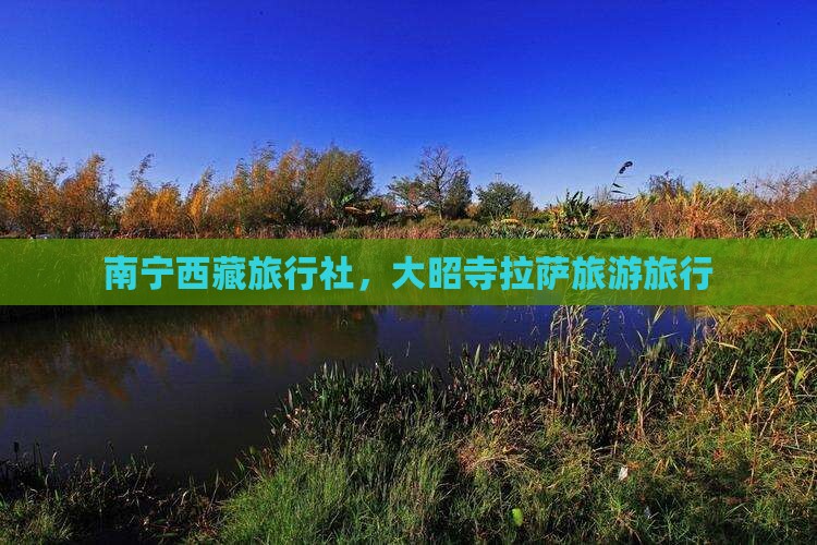 南宁去西藏大昭寺旅行社