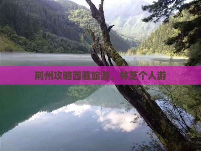 荆州去西藏林芝个人游