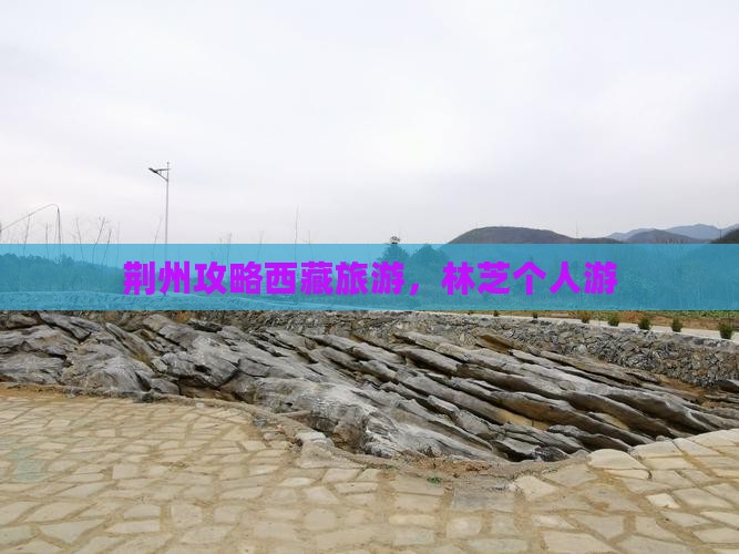 荆州去西藏林芝个人游