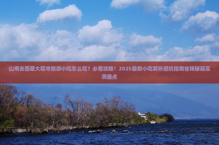 山南去西藏大昭寺旅游小吃