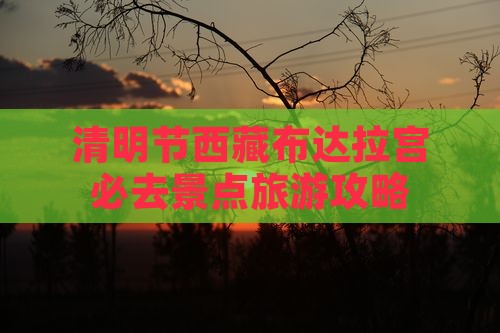 清明节到西藏布达拉宫必去地