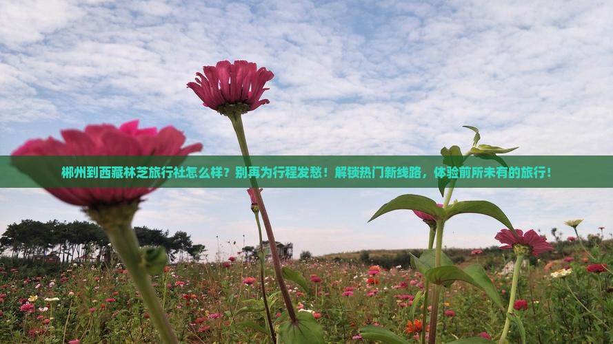 郴州到西藏林芝旅行社