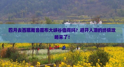 四月去西藏雅鲁藏布大峡谷景点