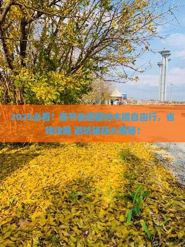 春节到西藏纳木措自由行