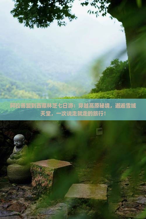 阿拉善盟到西藏林芝七日游