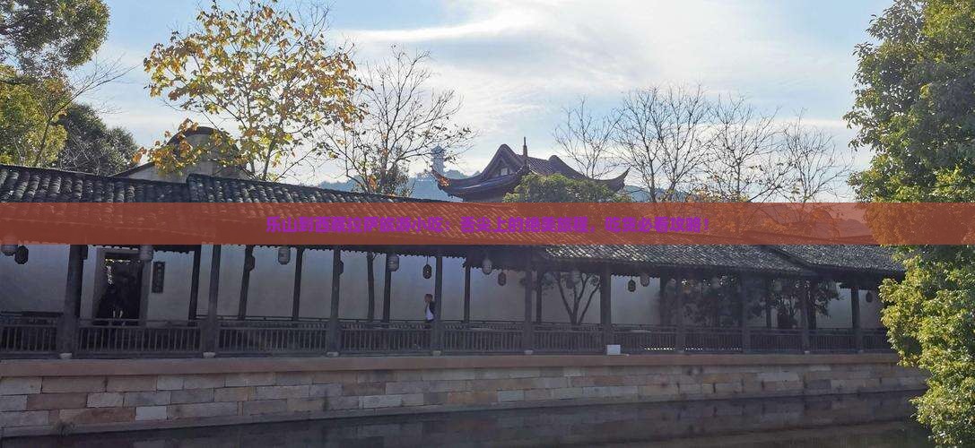 乐山到西藏拉萨旅游小吃