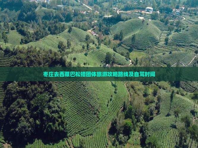 枣庄去西藏巴松措团体旅游