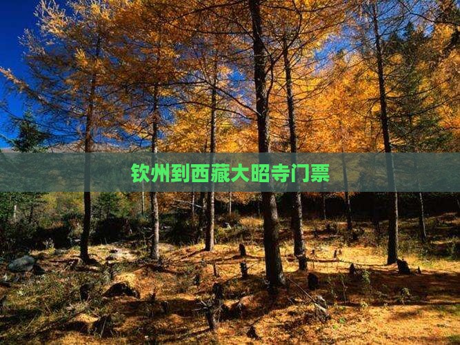 钦州到西藏大昭寺门票