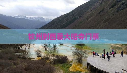 钦州到西藏大昭寺门票