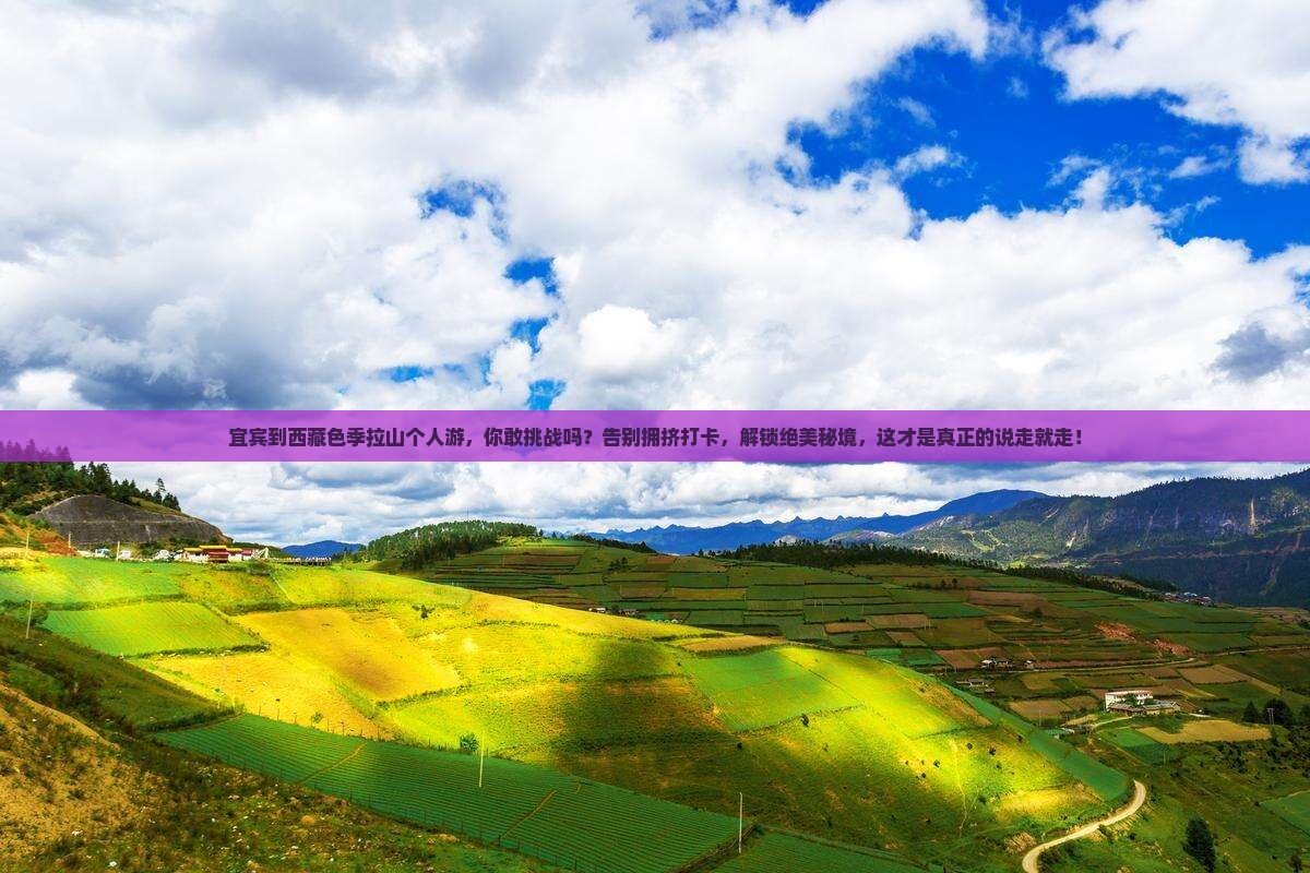 宜宾到西藏色季拉山个人游