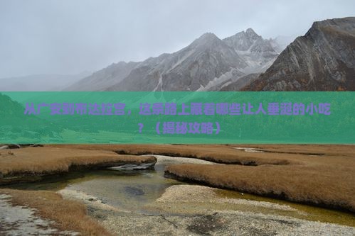 广安到西藏布达拉宫旅游小吃