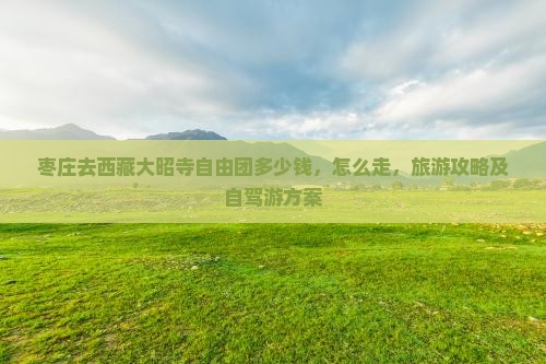 枣庄去西藏大昭寺自由团
