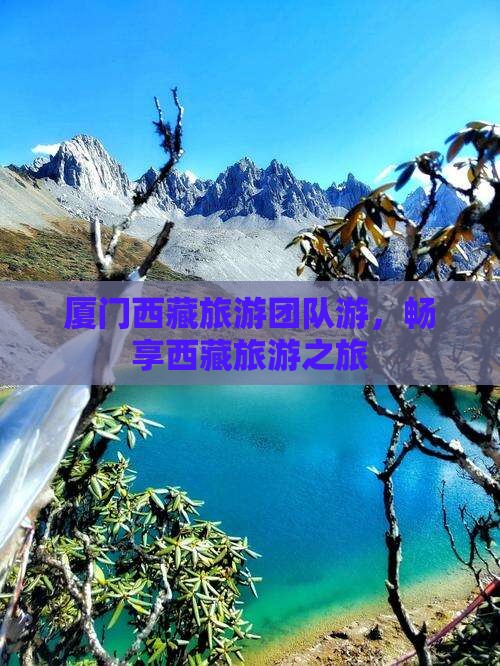 厦门去西藏团体旅游