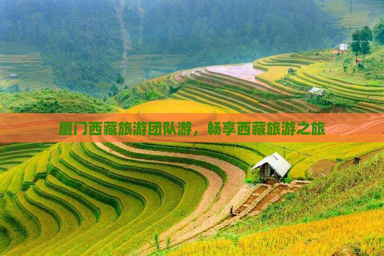 厦门去西藏团体旅游