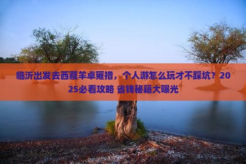 临沂去西藏羊卓雍措个人游