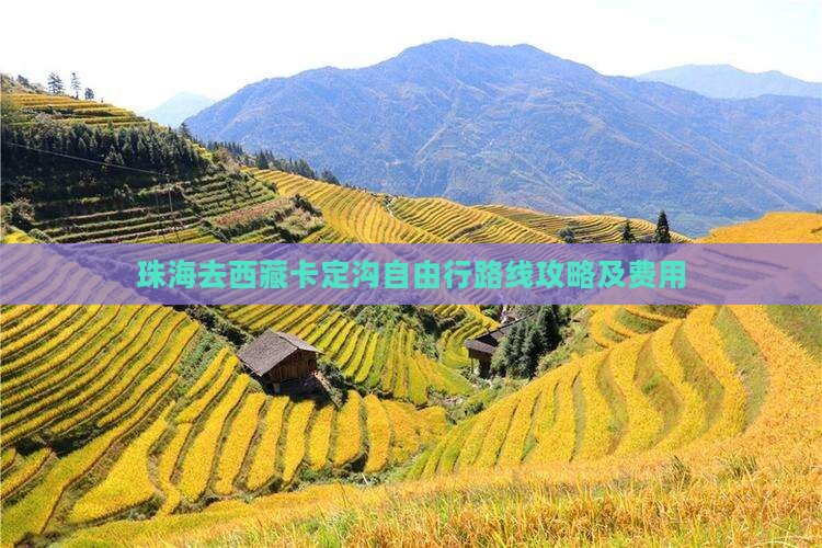 珠海去西藏卡定沟自由行