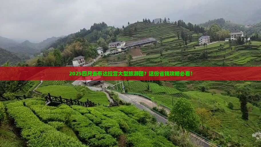 四月去西藏布达拉宫大型旅游团